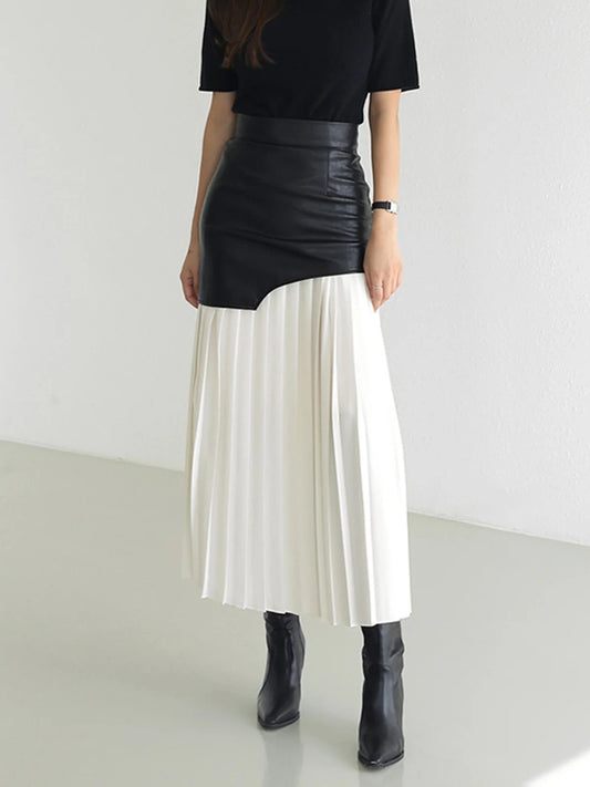 PleatX Skirt