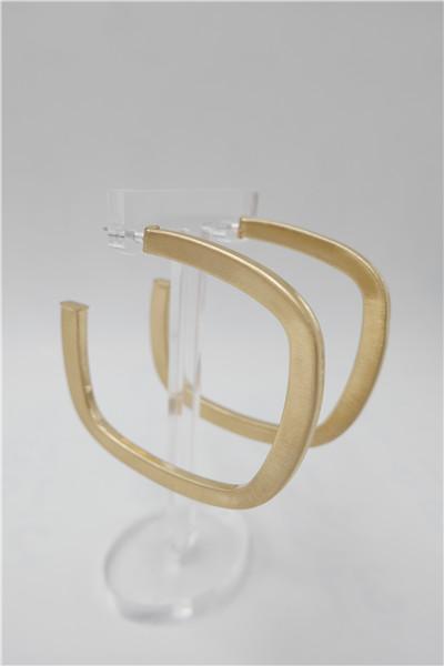 Framed in Gold Hoops