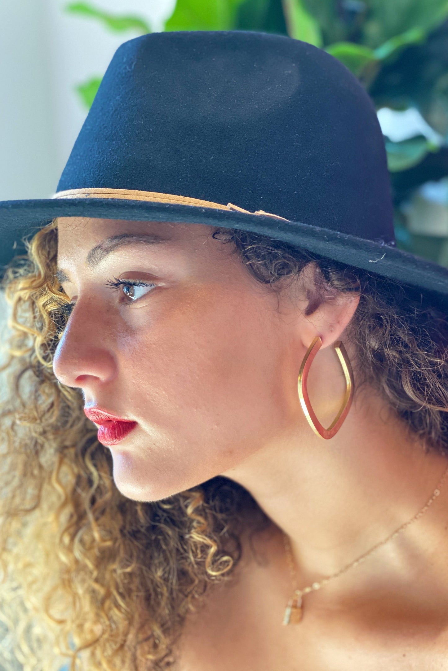 Framed in Gold Hoops